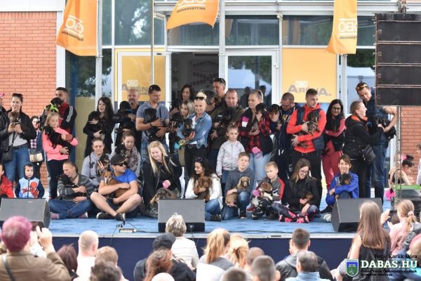 Városi Majális 2019