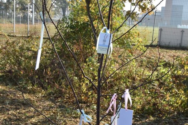 Újszülöttek köszöntése 2019 ősz