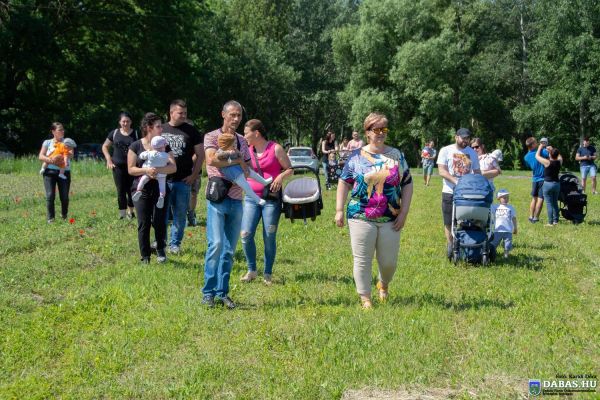 Újszülöttek köszöntése és ligete