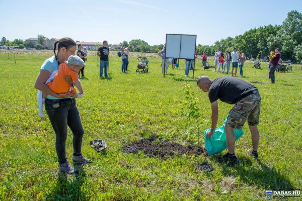 Újszülöttek köszöntése és ligete
