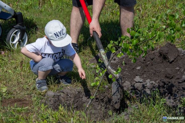Újszülöttek köszöntése és ligete