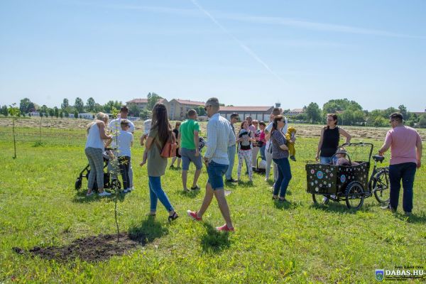 Újszülöttek köszöntése és ligete