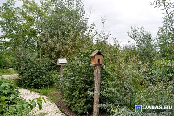 Dabasi Egyesített Óvodák