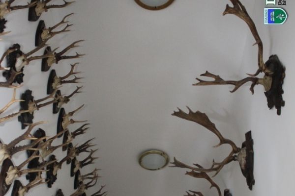 Halász Szántó Emlékszoba