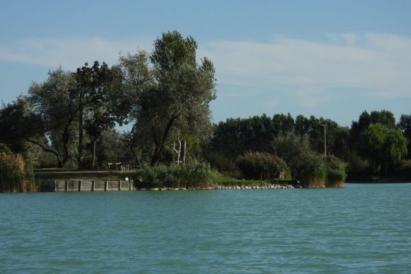 A tó és környéke