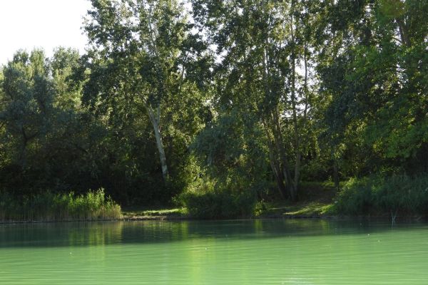 A tó és környéke