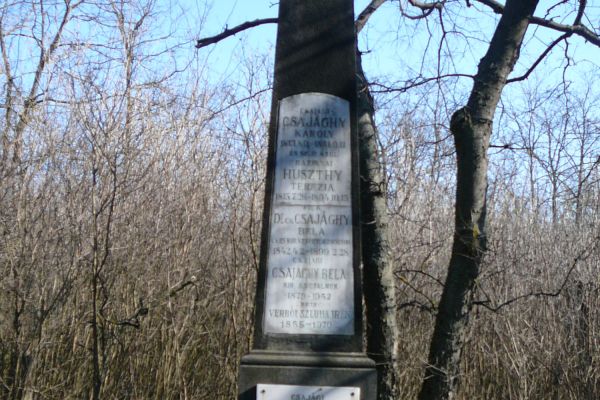 Dr. Csajághy Béla (1842-1899) császári és királyi vezértörzsorvos életútjának dabasi vonatkozásai