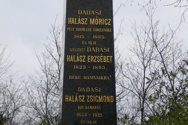 Dabasi Halász Zsigmond közéleti pályája