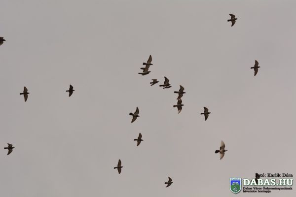 Átadásra került az ’56-os Emlékszoba