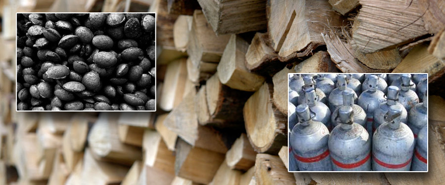 TÉLI REZSICSÖKKENTÉS