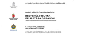 oldalso ikonok palyazat01