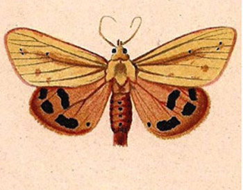 teb78