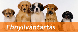 Ebnyilvántartás oldal megnyitása nyomógomb